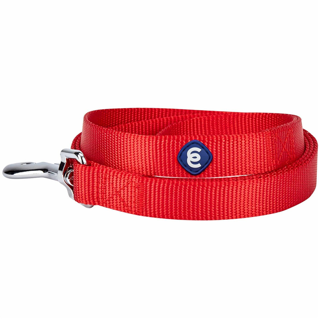 Classic Dog Leash I54946
