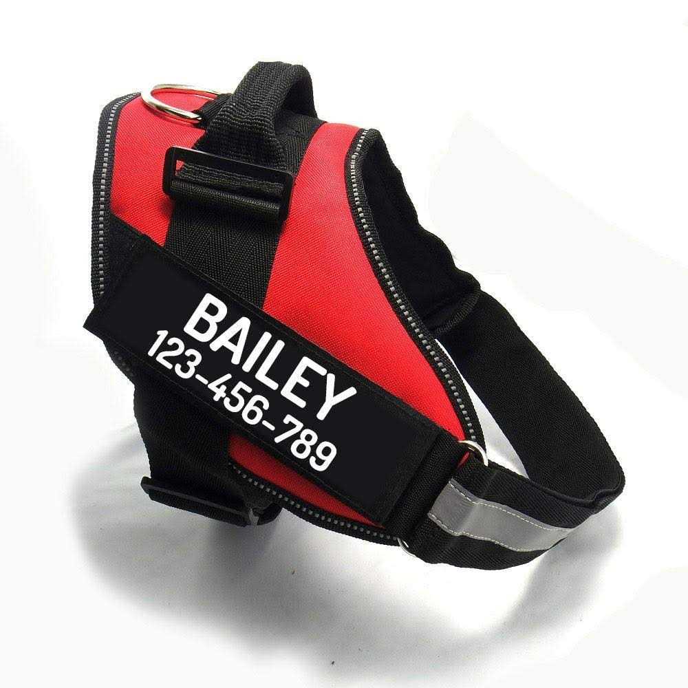 Easy-On No Pull Dog Harness T753103