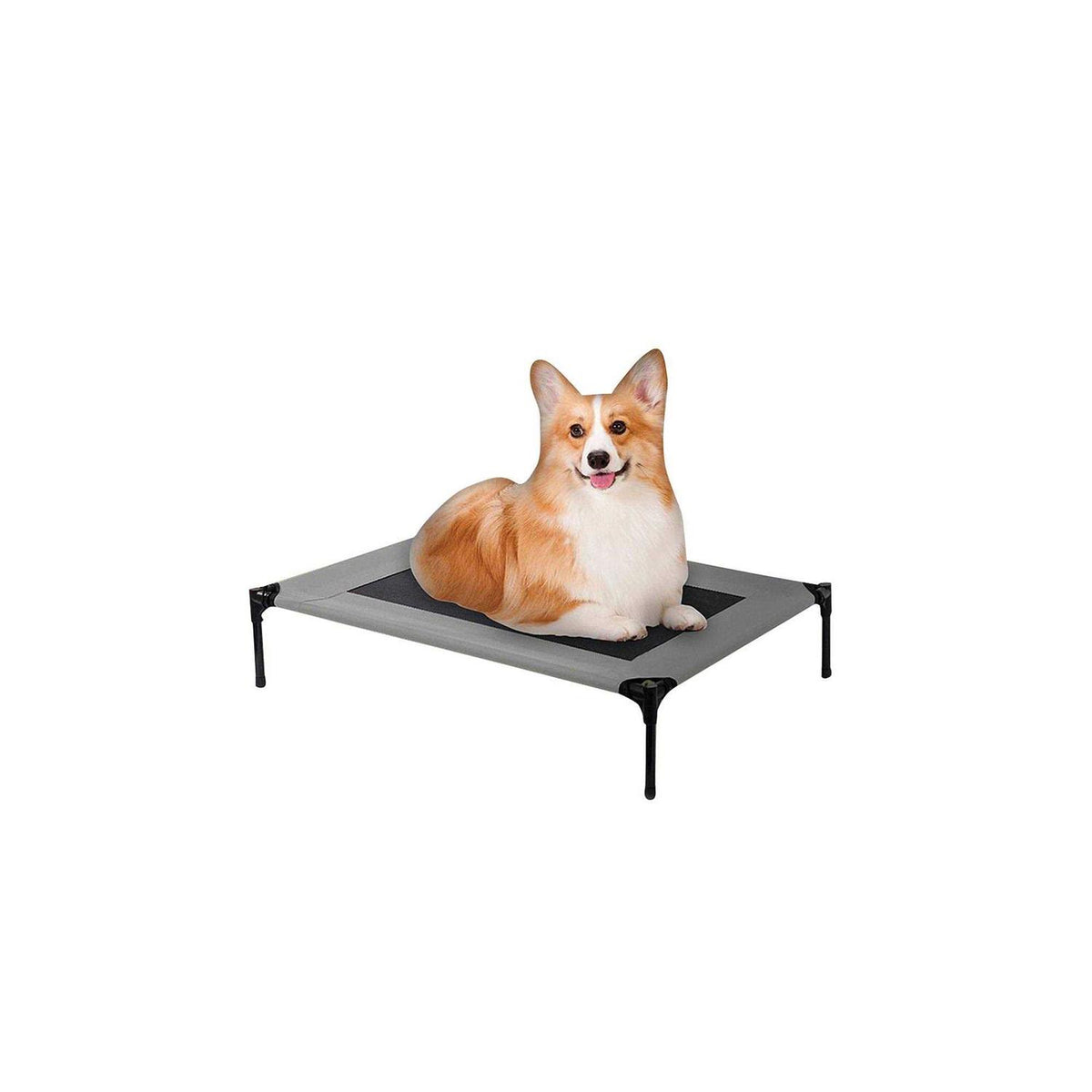 Cot Dog Bed J2302