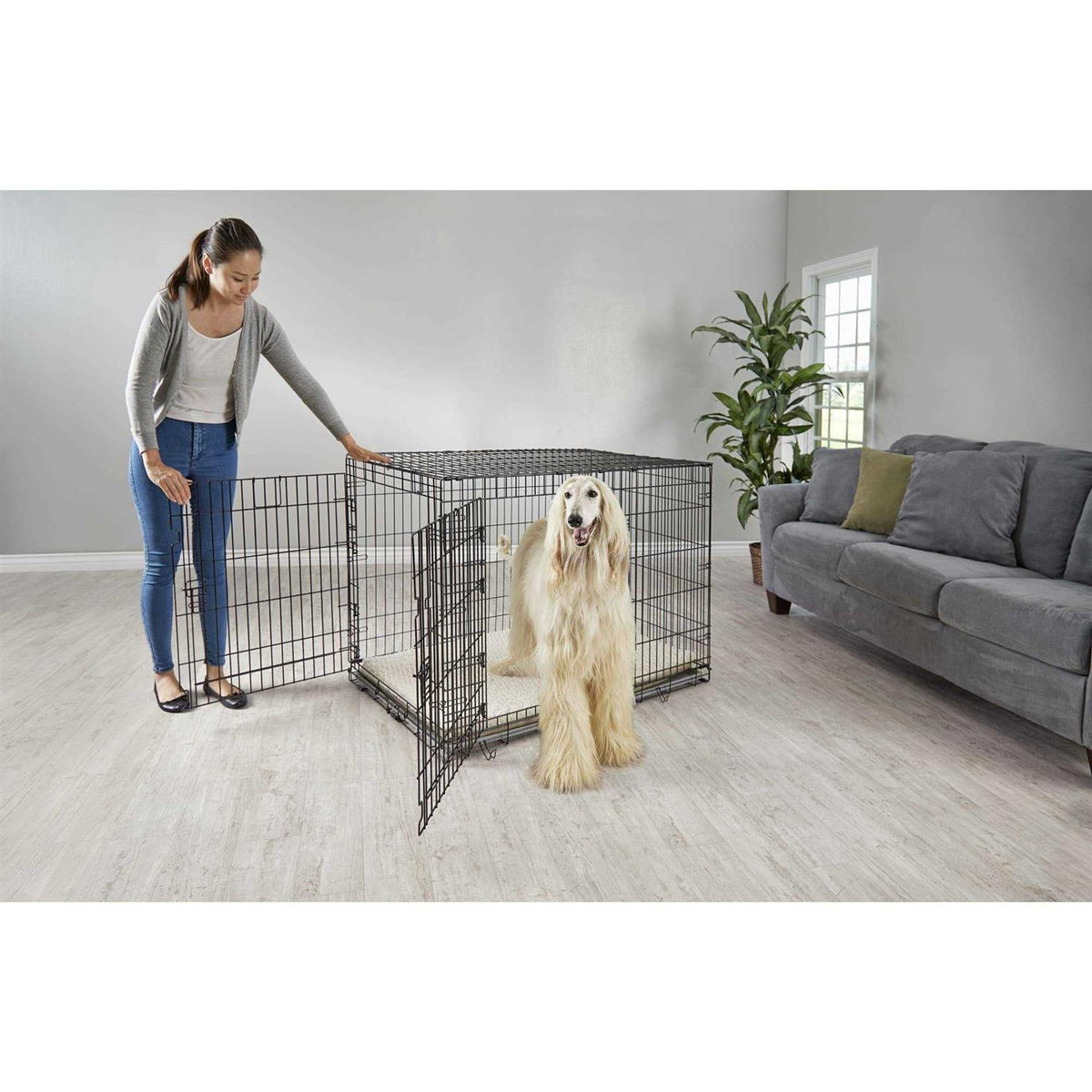 2-Door Folding Dog Crate M905425