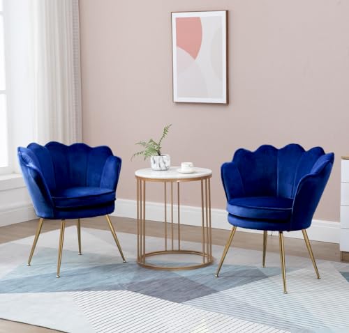 Grey Velvet Set of 2 Armchair Q201208