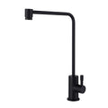 Chrome Single Cold Kitchen Faucet X797828