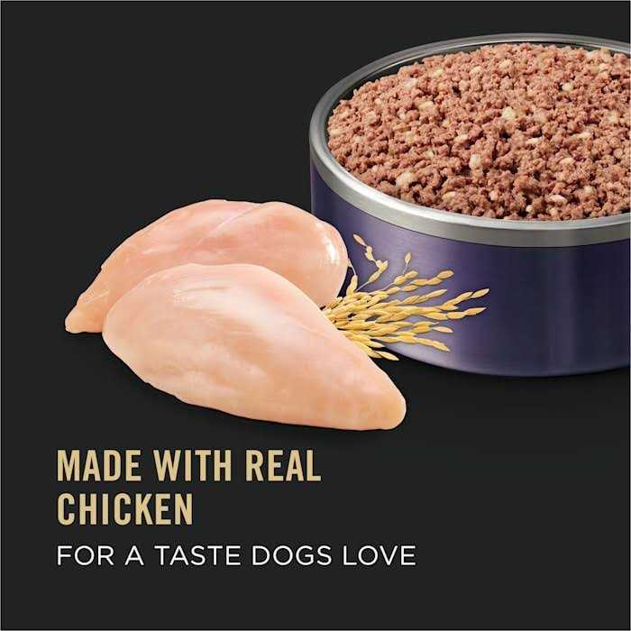High Protein Wet Dog Food C953