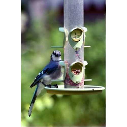Wild Bird Food C583