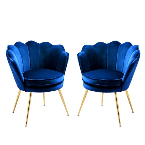 Grey Velvet Set of 2 Armchair Q201208