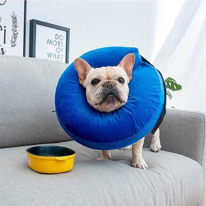 Protective Inflatable Cone Collar for Dogs and Cats J158