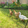 Chicken Tunnels for Yard Chicken Run Coop Tunnel A5268