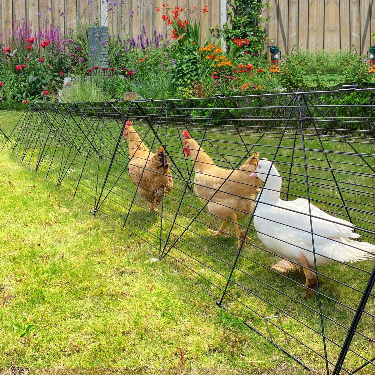 Chicken Tunnels for Yard Chicken Run Coop Tunnel A5268