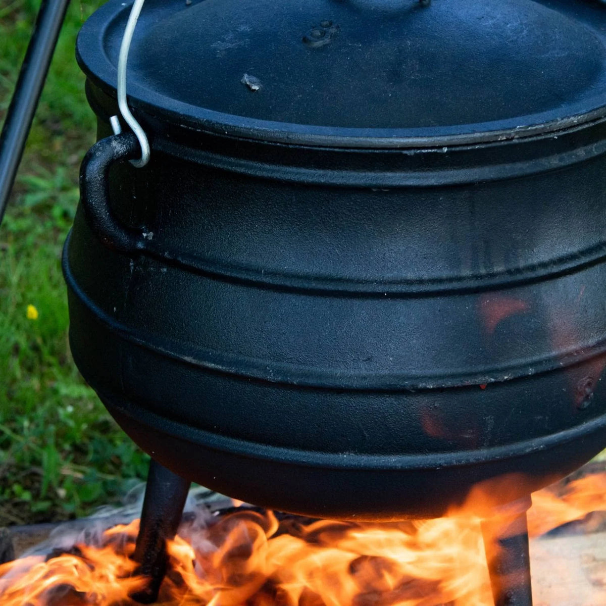 Cast Iron 3 Quart Dutch Oven with Lid Y360921