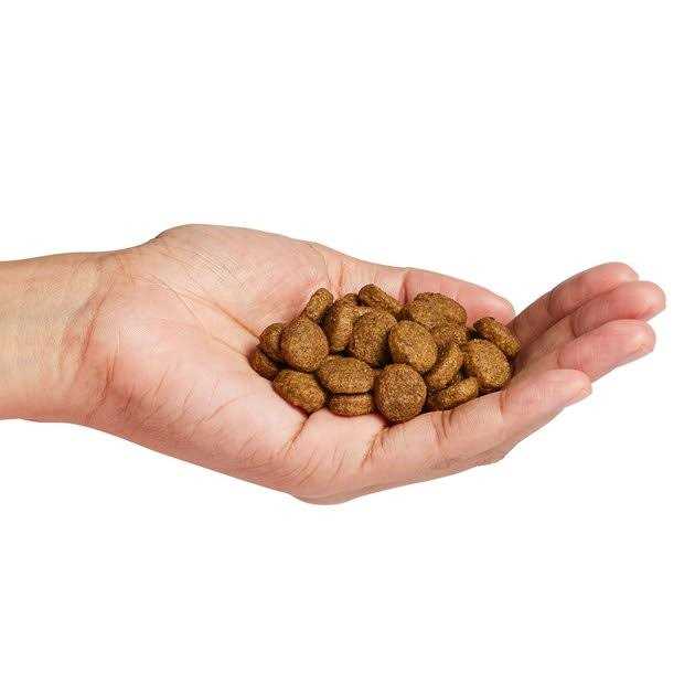 Large Breed Salmon Dry Dog Food V481