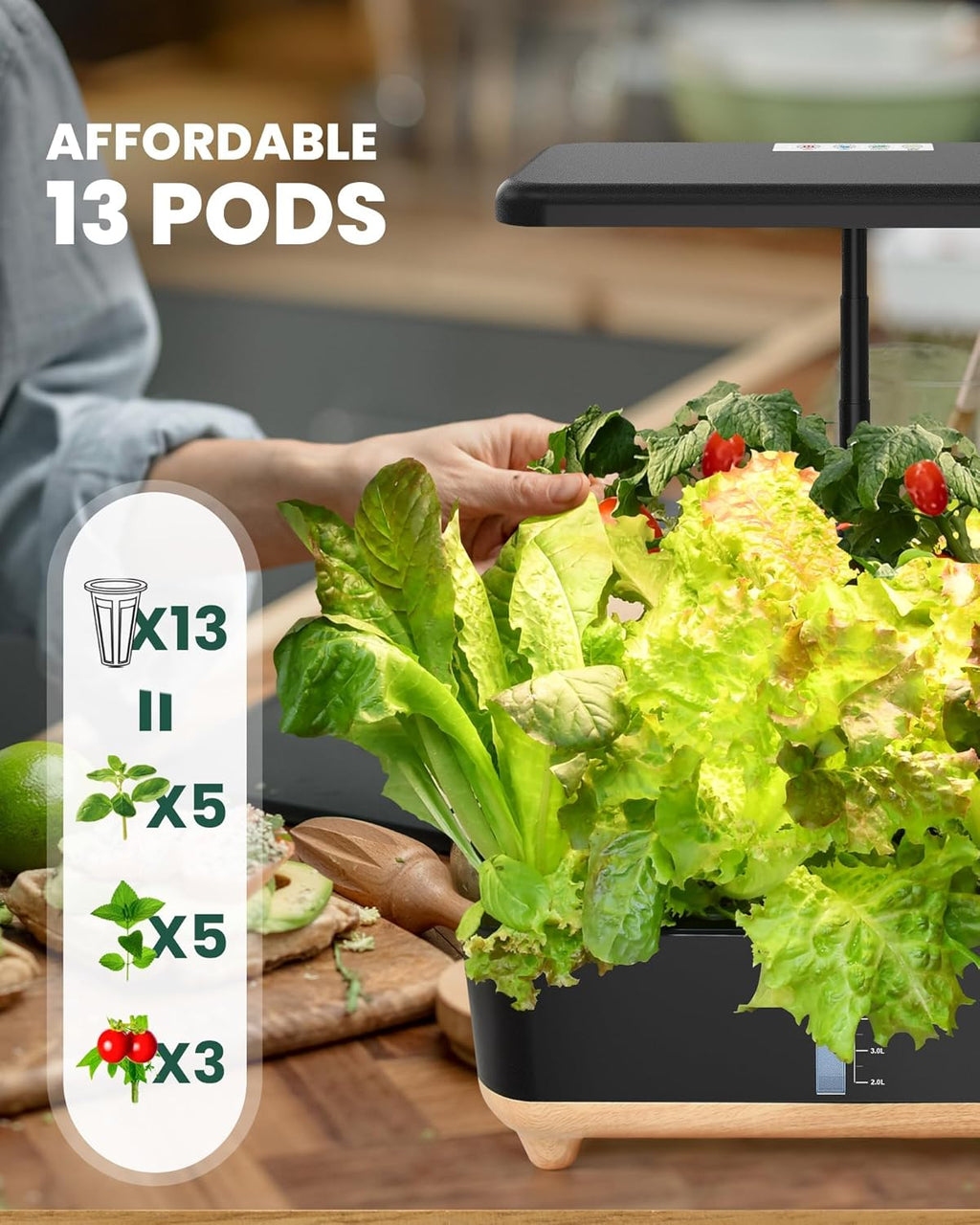 13 Pods Hydroponic Growing System P333598