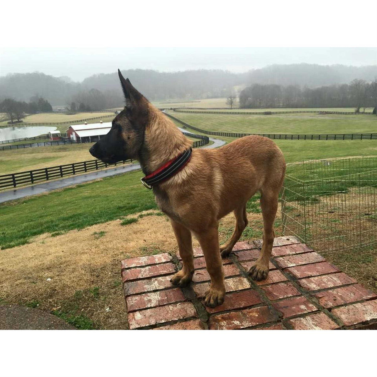 Limited Slip Collar R810