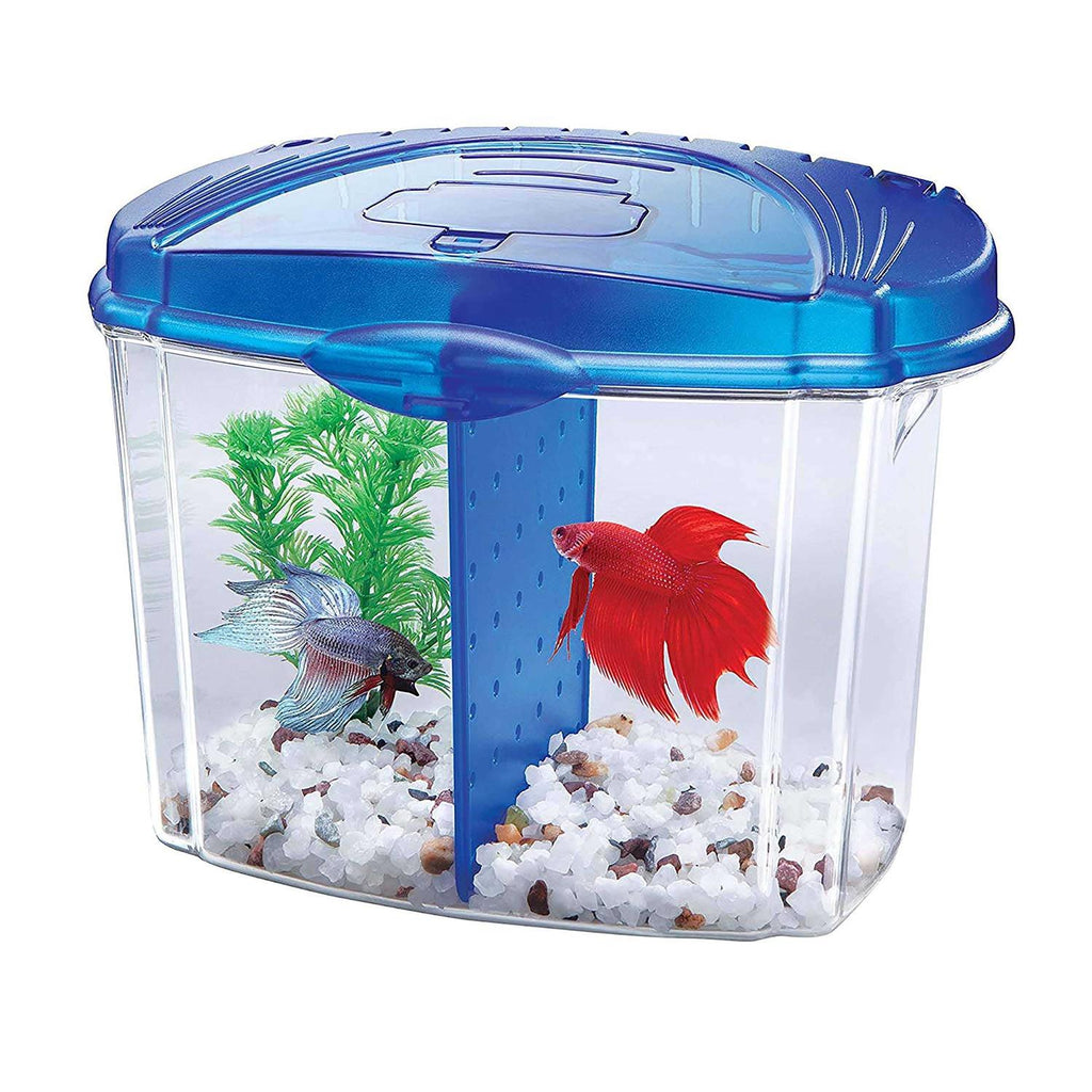 Betta Bowl Kit A12812
