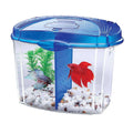 Betta Bowl Kit A12812