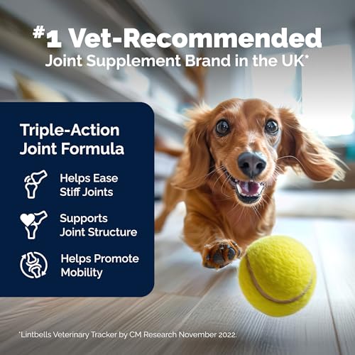 Glucosamine Hip & Joint Supplement for Dogs E859669