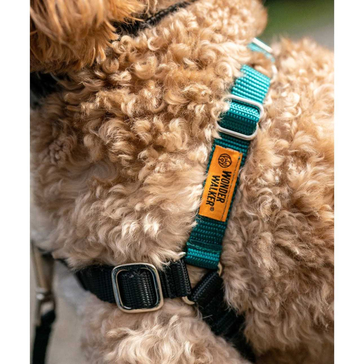 Dog Harness C426