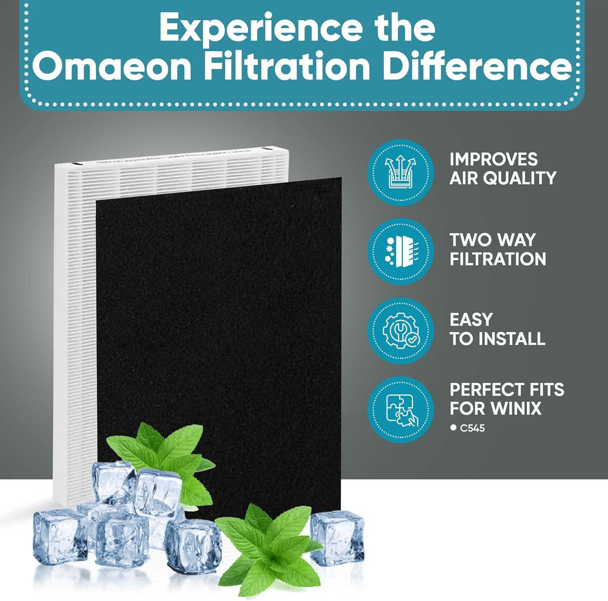 Pack of 2 True HEPA Filter + 8 Activated Carbon Filters L8846