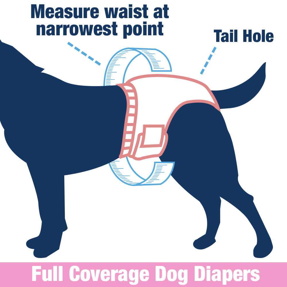 Female Dog Disposable Diapers S834