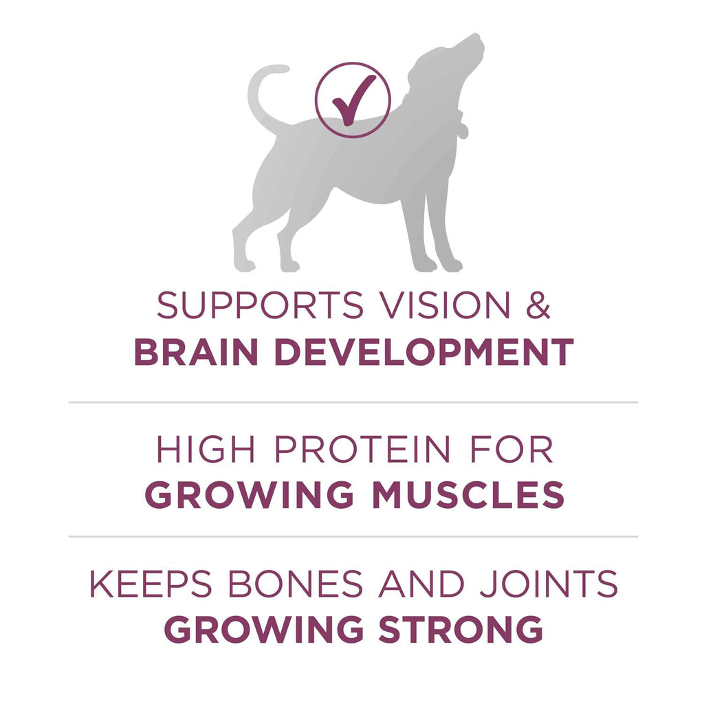 High Protein Dry Dog Food C8792
