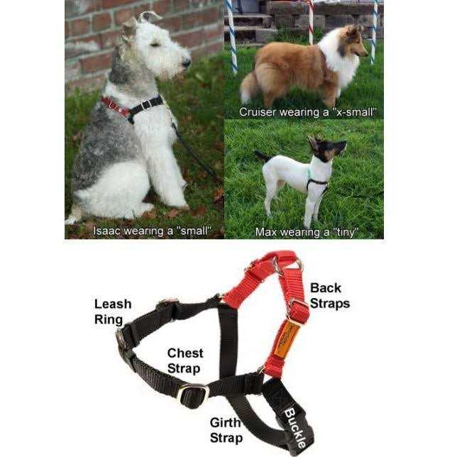 Dog Harness C426
