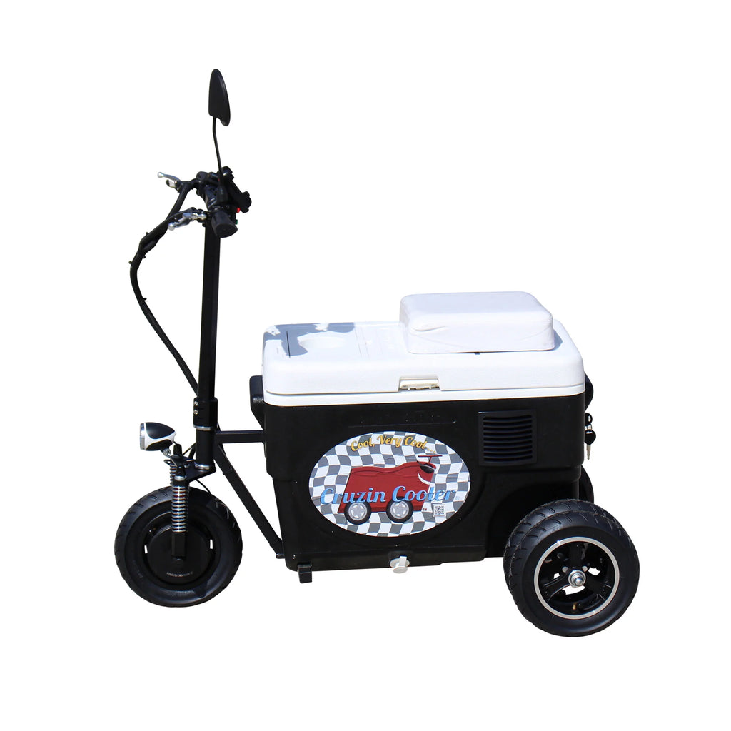 Motorized Ice Chest Scooter 13 MPH Y1810
