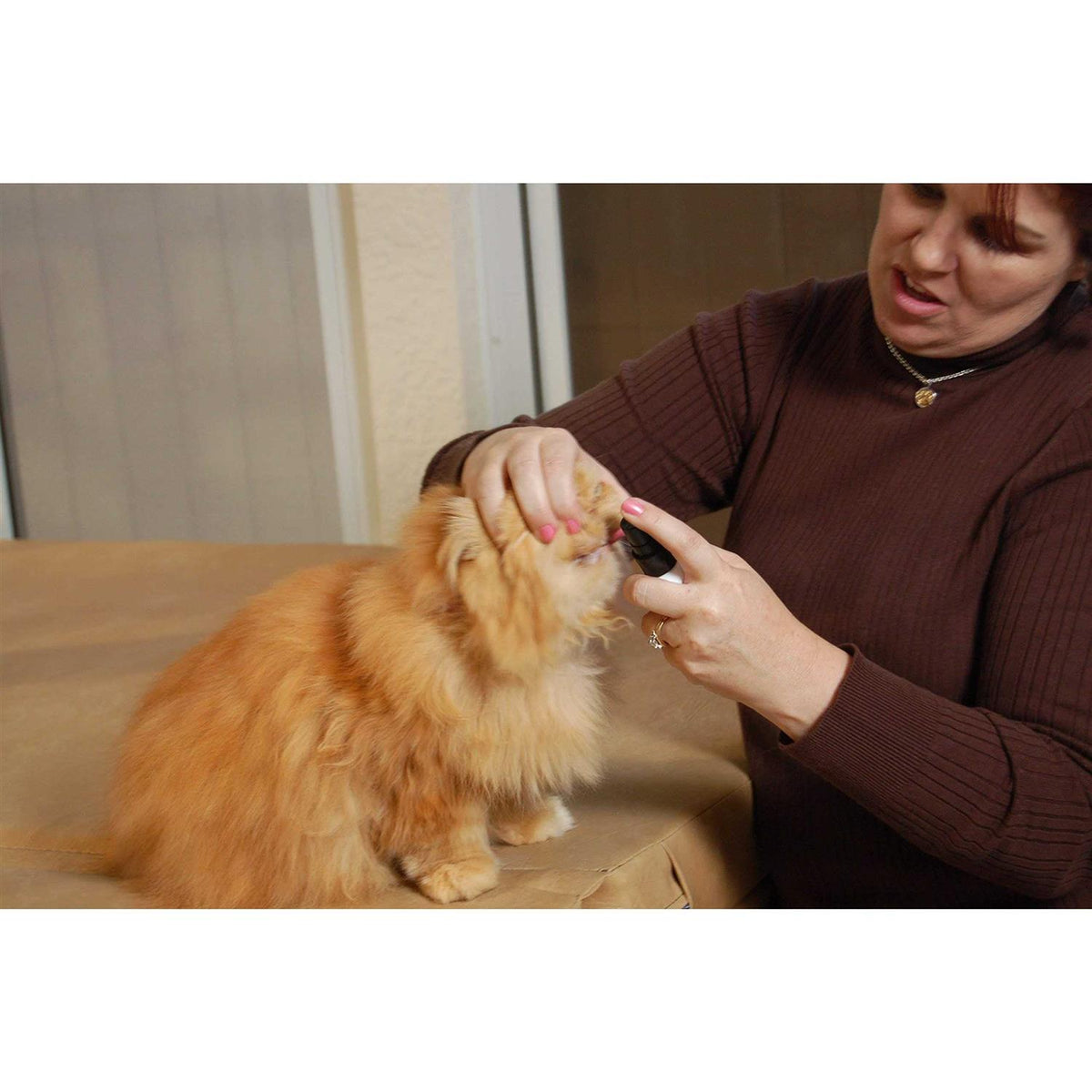 Pet Dental Spray B1715