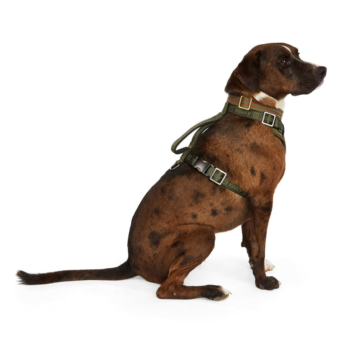 Dog Harness E8326