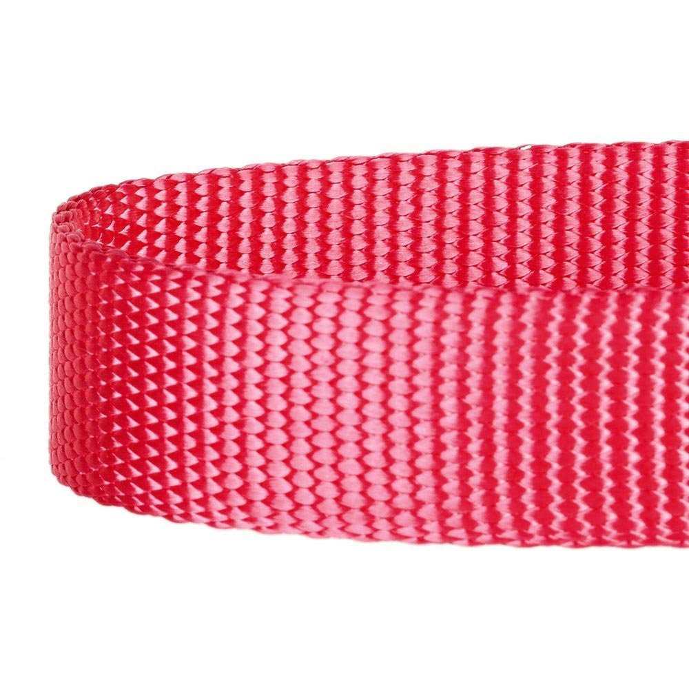 Classic Dog Leash I54946