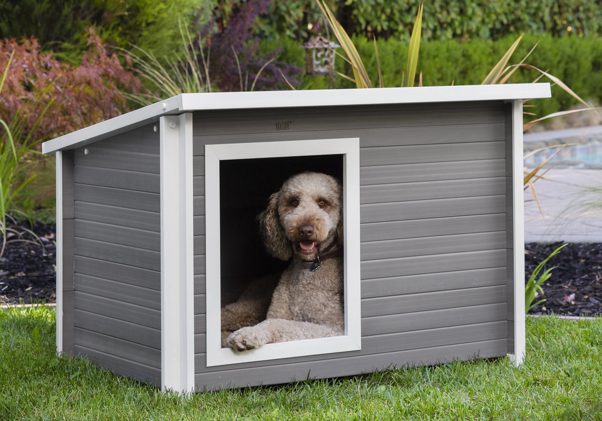 X-Large Gray Dog House L57496
