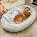 75 L x 50 W x 14 Th Human Dog Bed R722908