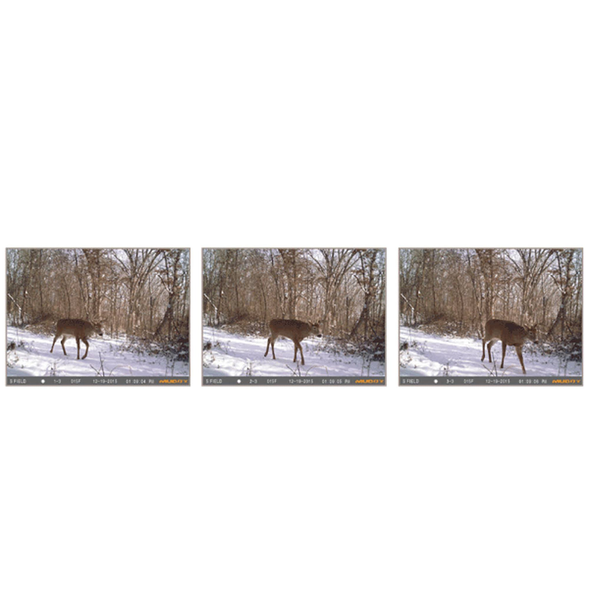 14 Trail Camera R48574