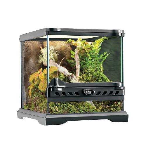 Glass Terrarium S931