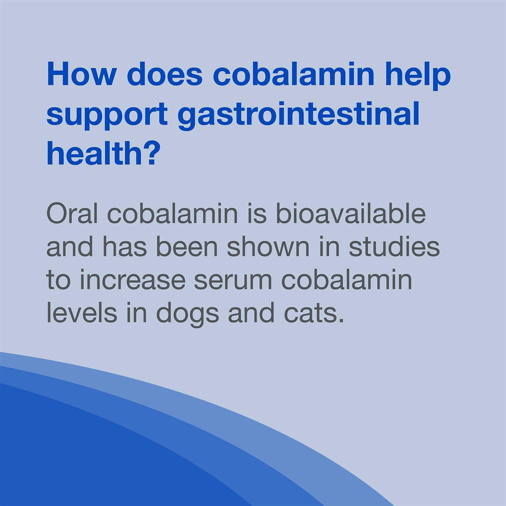 B12 Supplement Dogs G7857