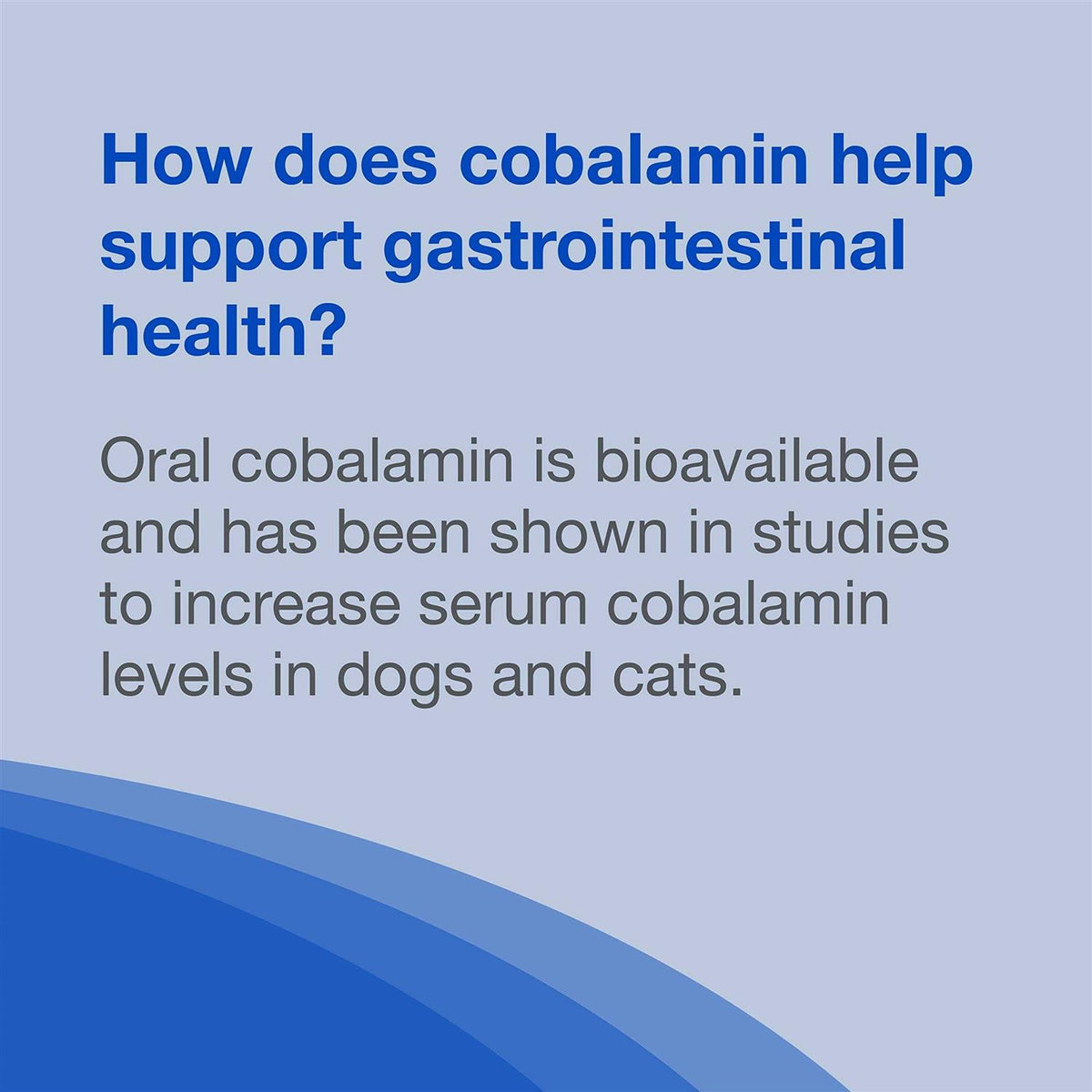 B12 Supplement Dogs G7857