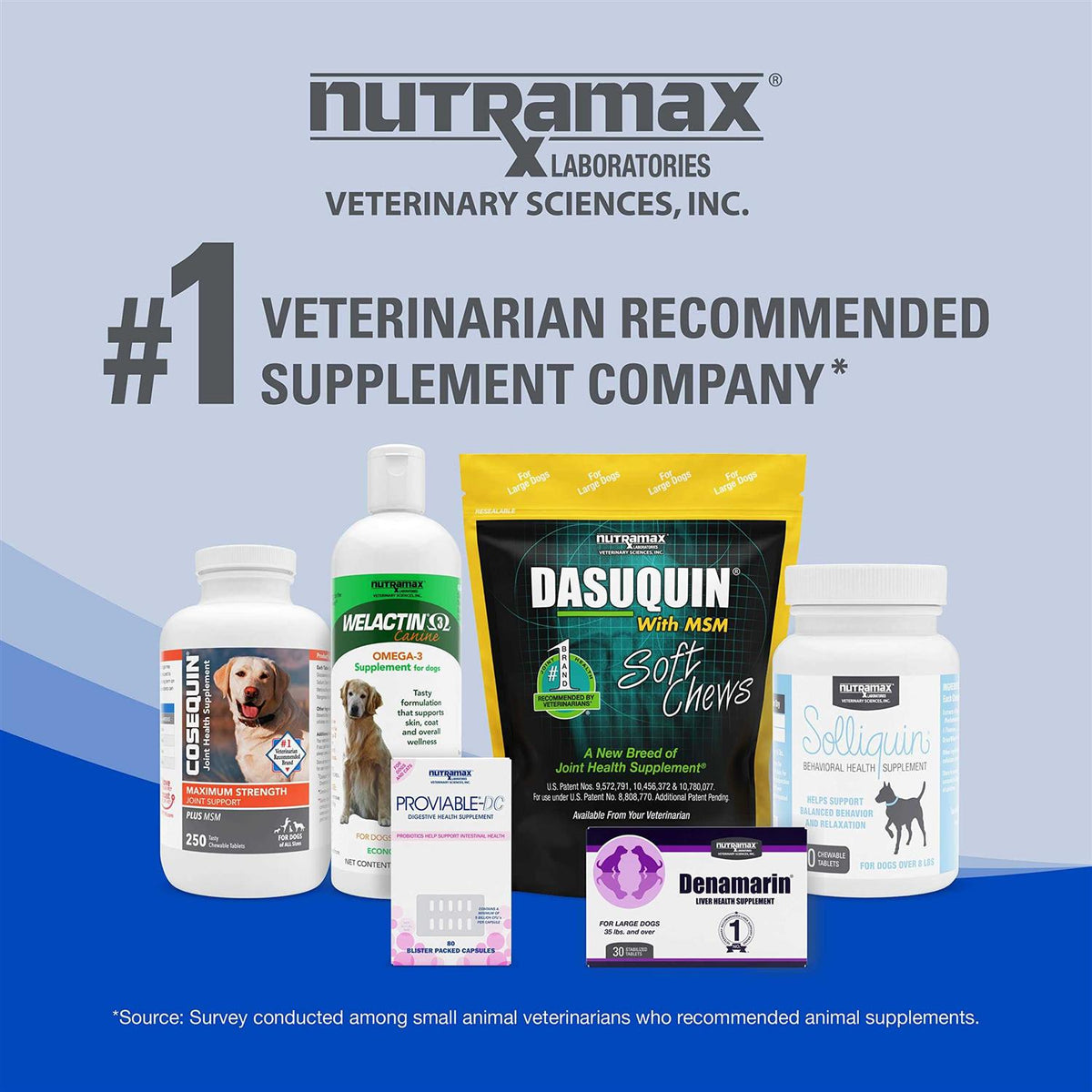 B12 Supplement Dogs G7857