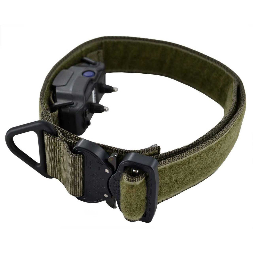 ID Collar P8416