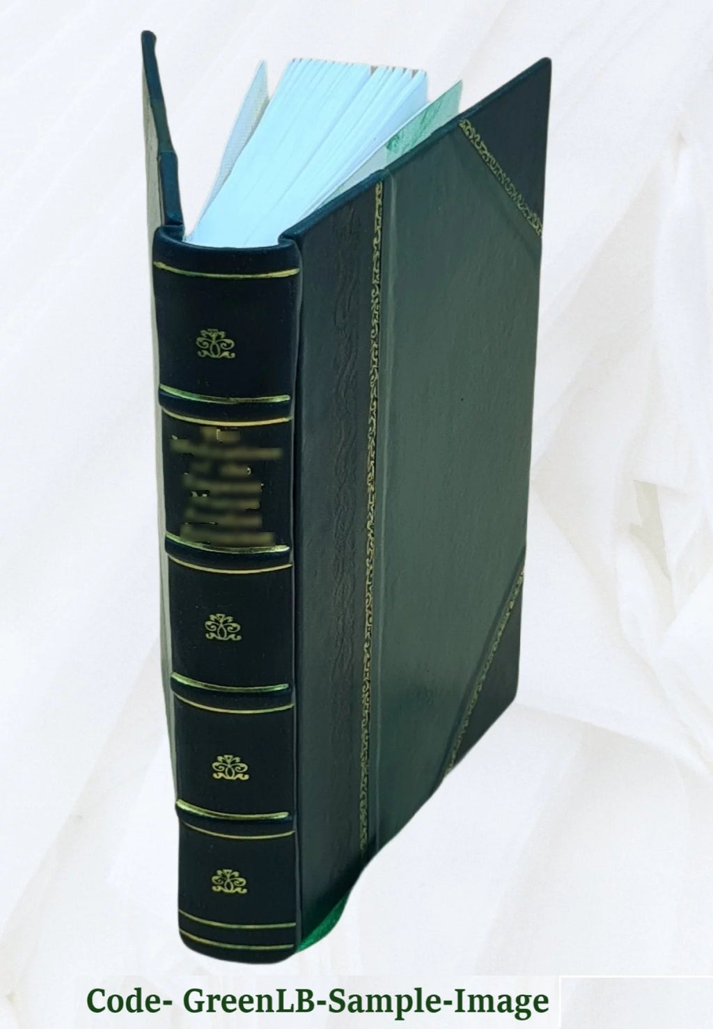 Accommodation and Refraction of the Eye Handbook M20978