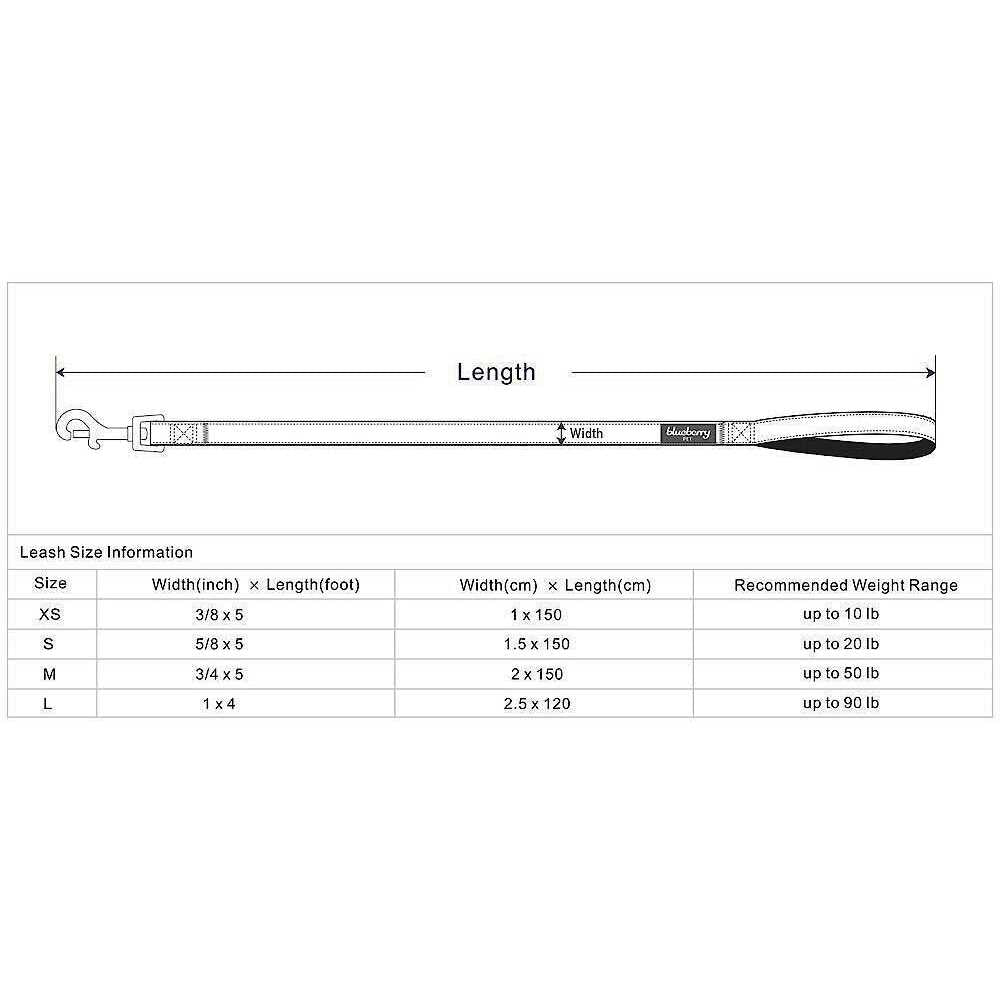 Classic Dog Leash I54946